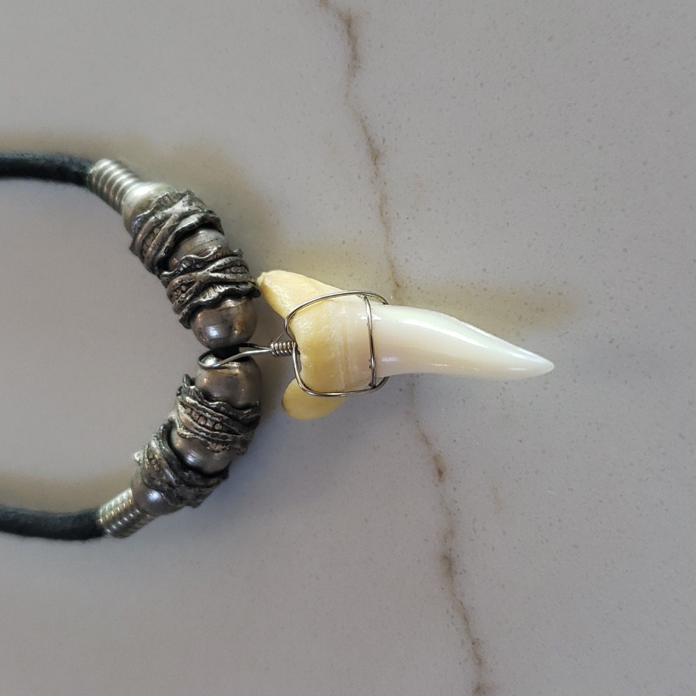 13. Shark Tooth Necklace - Picture 2 of 5